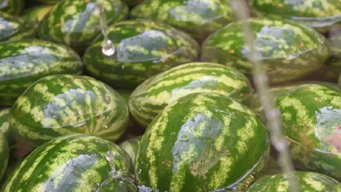 Фото: Кирилл Зыков, РИА Новости