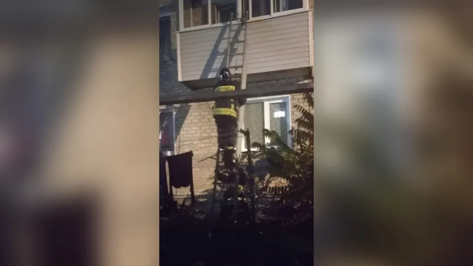 Фото: ГКУ МО «Мособлпожспас»