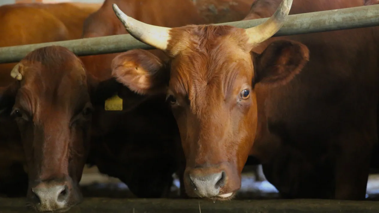 Фото: Минсельхозпрод МО