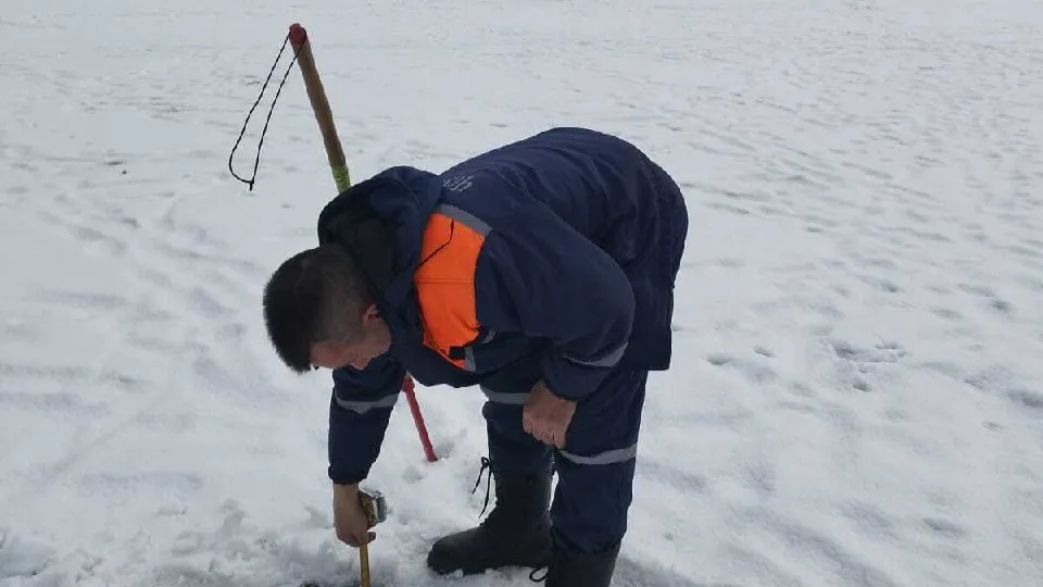 Фото: Администрация м.о. Чехов