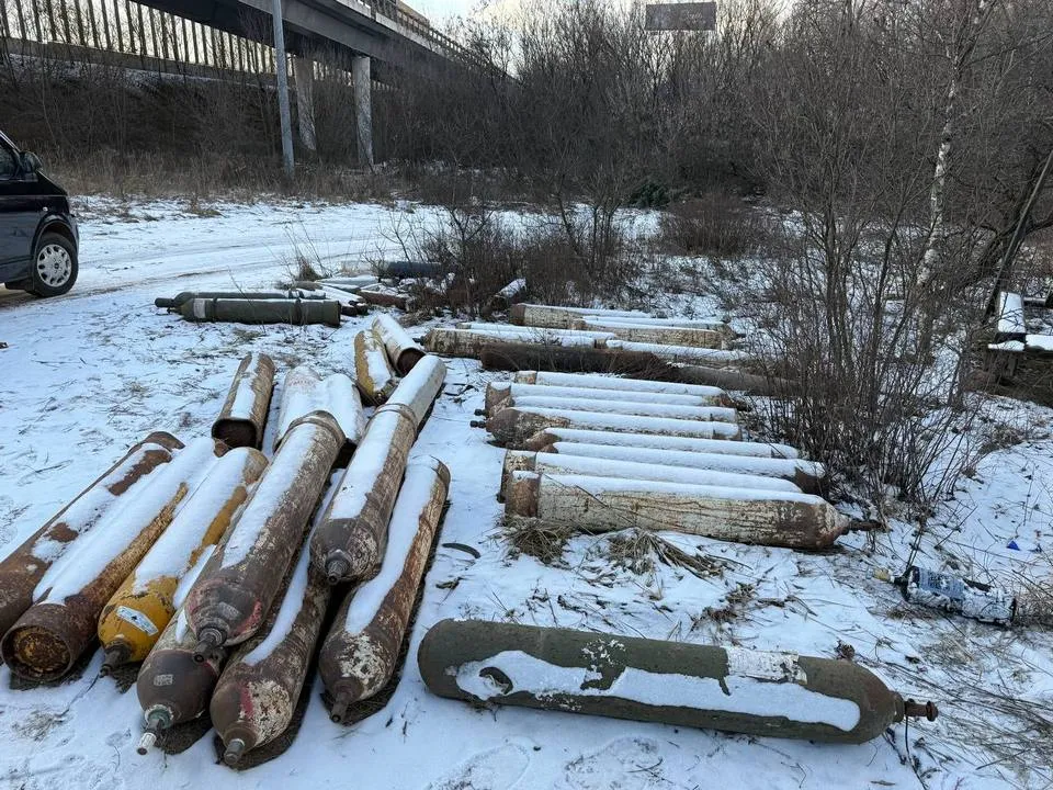 Фото: управление экологии городского округа Мытищи