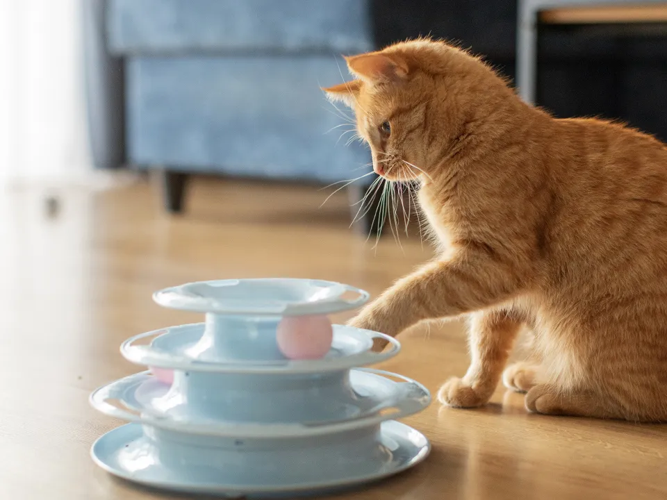 Фото: istockphoto.com/Olena Miroshnichenko