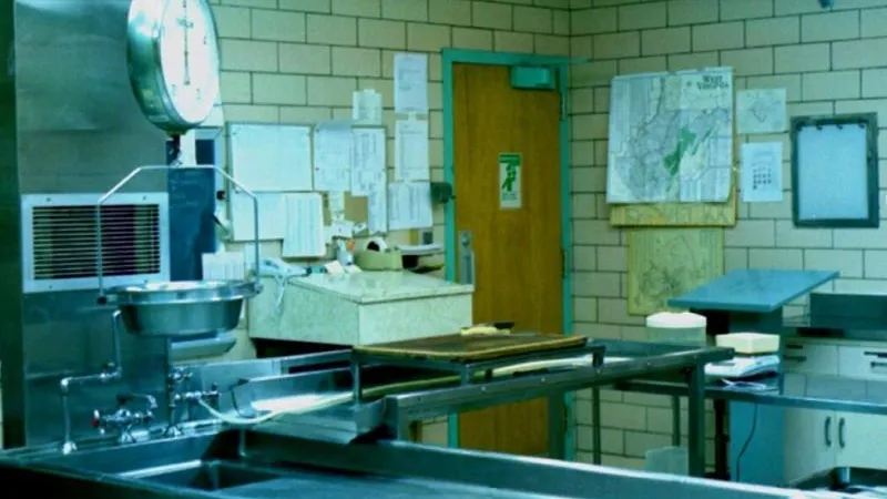 В Петербурге мужчина нашел в квартире тело женщины