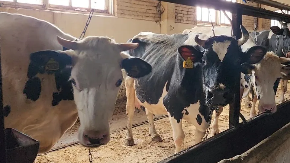 Фото: Ольга Антонова