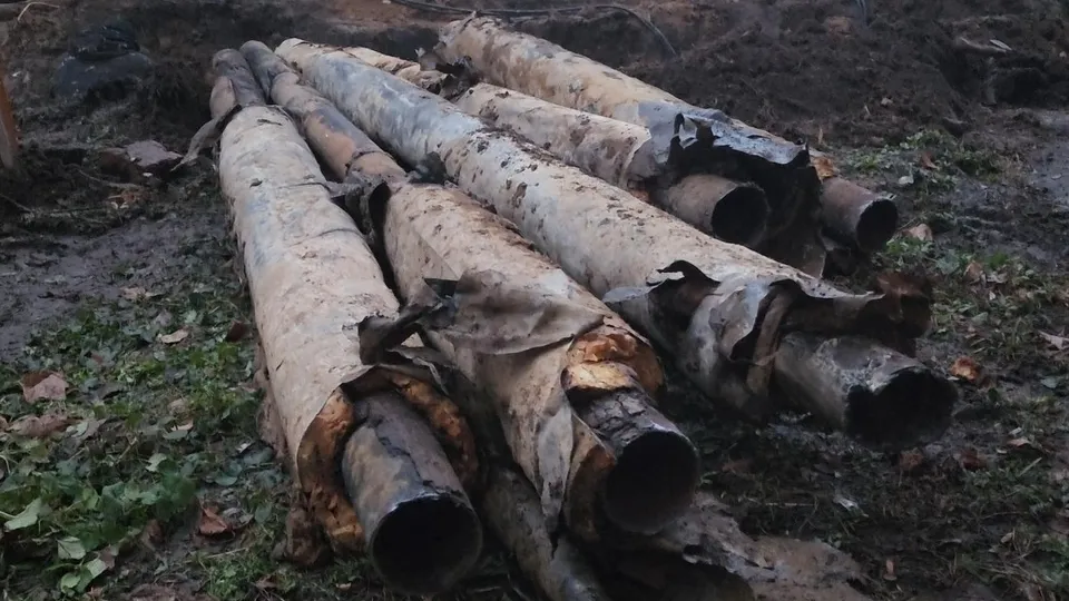 Фото: МедиаБанк Подмосковья/Иван Чижов