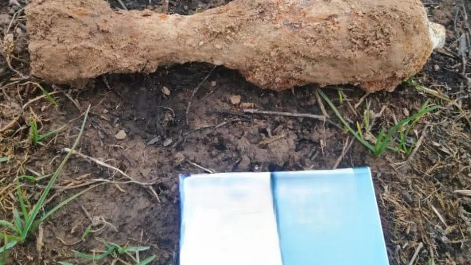 Фото: ГКУ МО «Мособлпожспас»