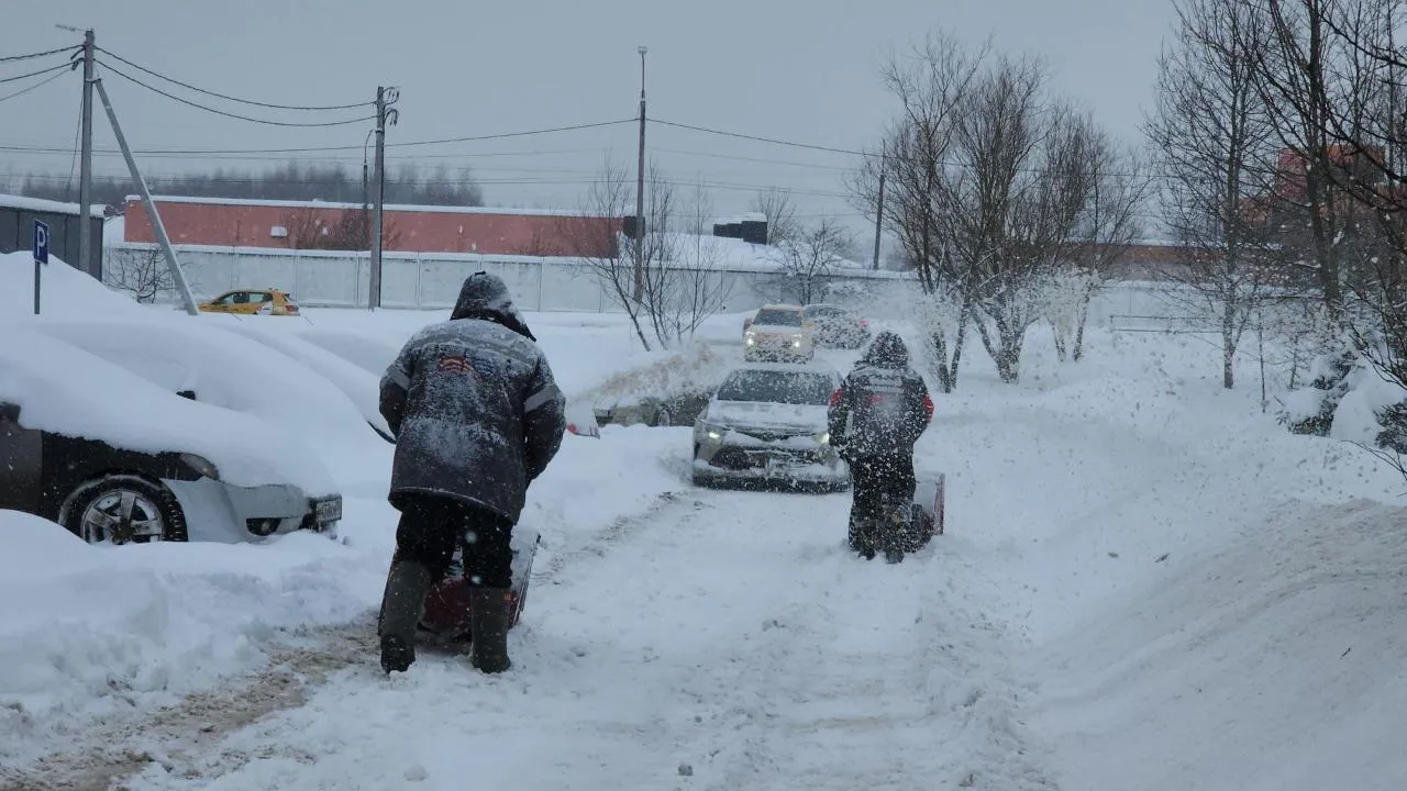 REGIONS/Кристина Ларина