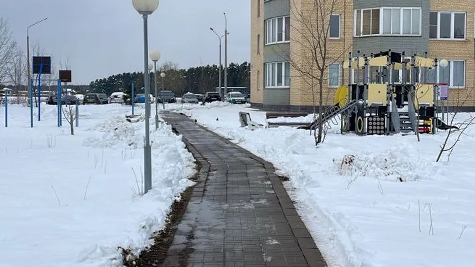 Фото: пресс-служба администрации г.о. Черноголовка