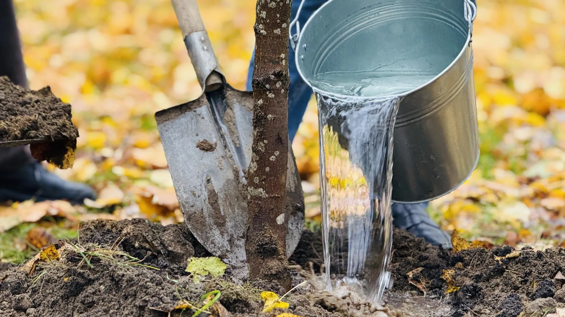 Фото: МедиаБанк Подмосковья/Ольга Стаферова