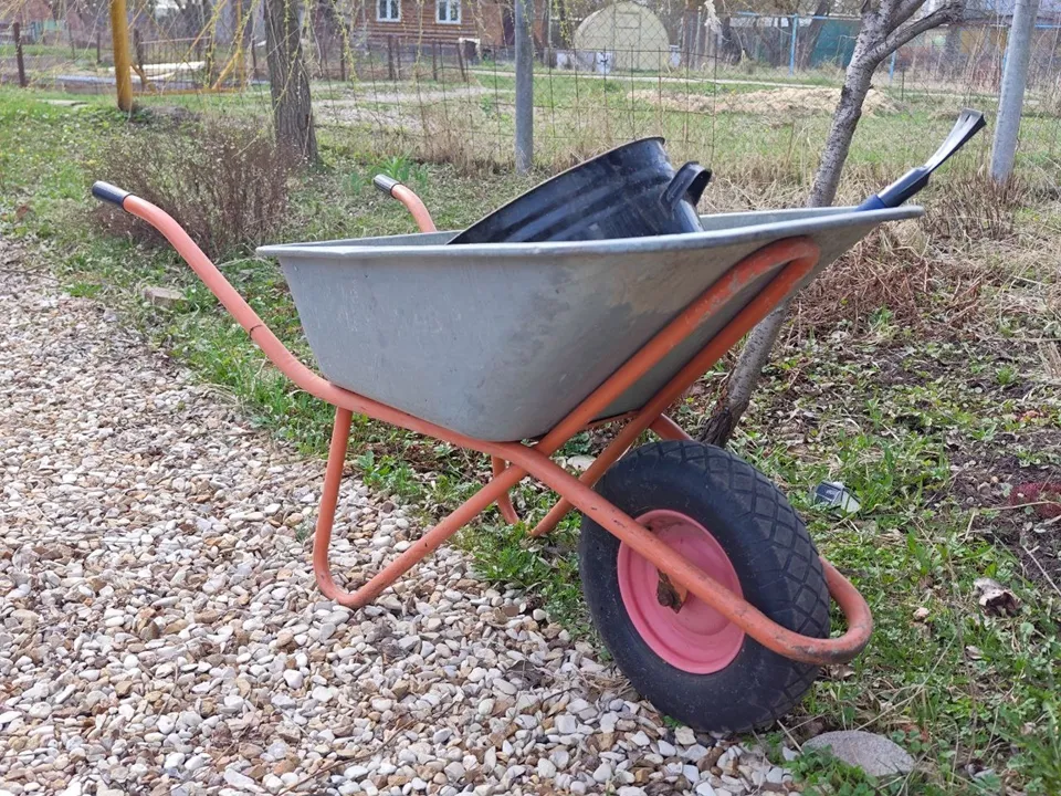 Фото: REGIONS/Алексей Селиверстов