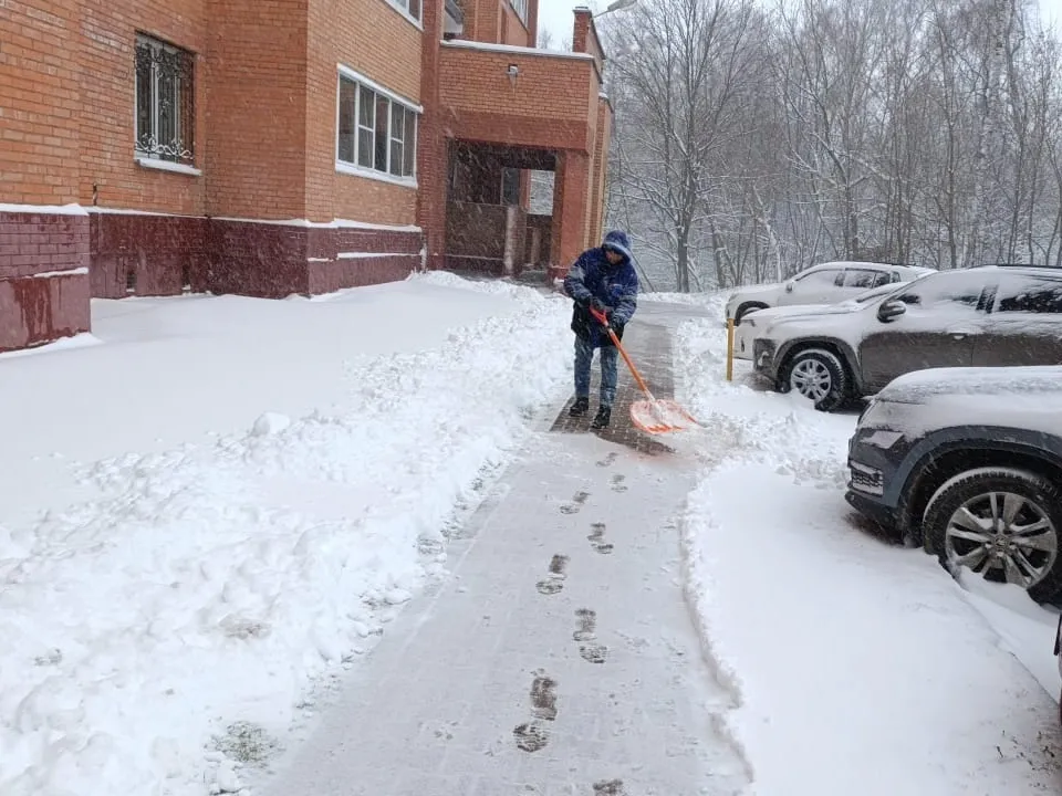 Фото: пресс-служба администрации г.о. Домодедово