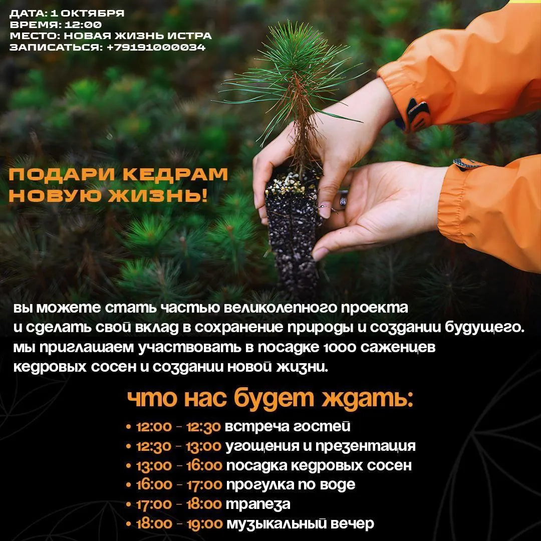 Фото: соцсети