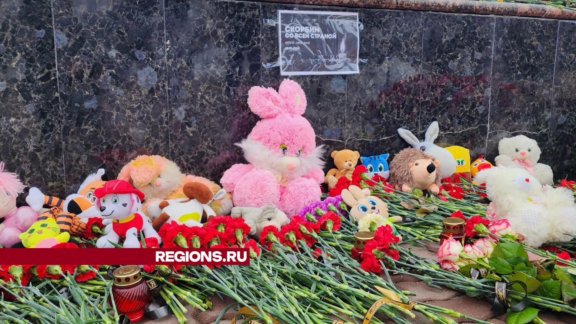 Фото: Светлана Плотникова