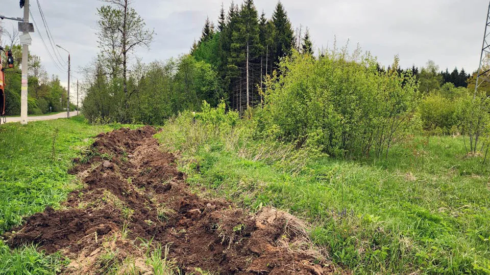 Фото: Медиабанк Подмосковья / Яна Шаливская
