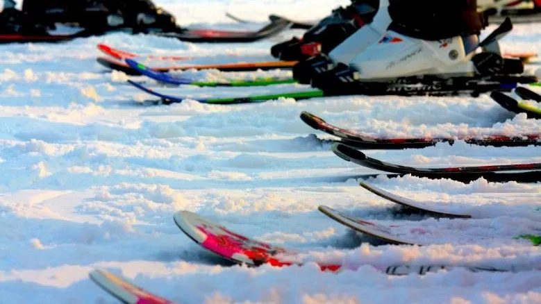 Лыжи. Фото: pxhere.com