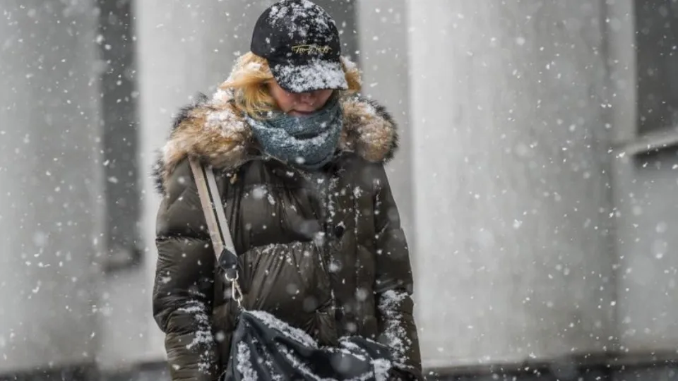 Фото: медиасток.рф