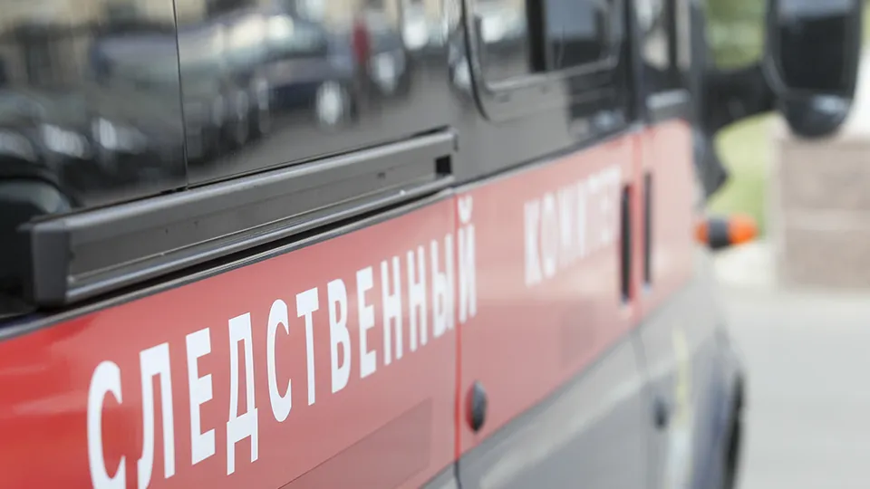 Фото: ТАСС/Ведомости/Андрей Махонин