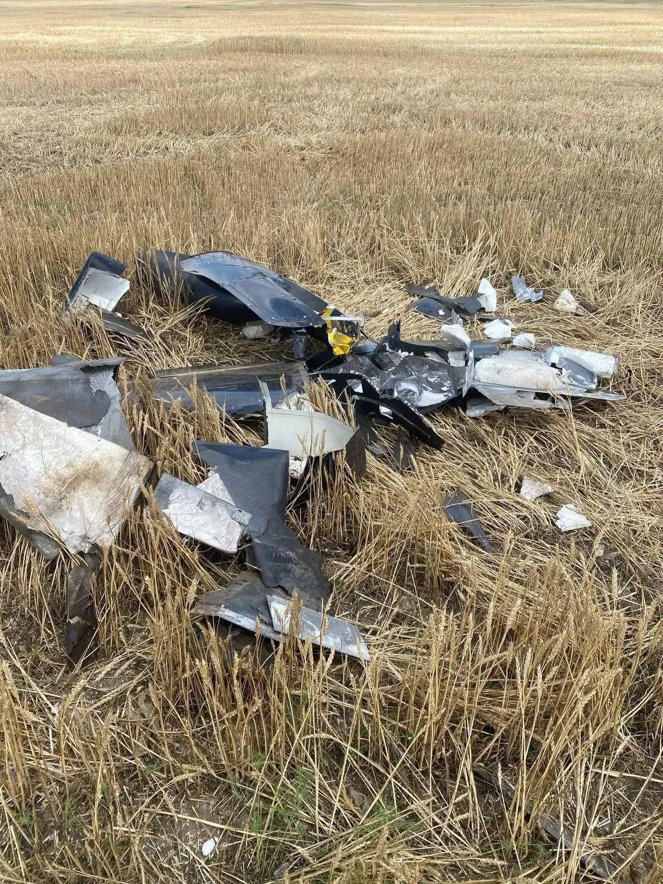 Губернатор Херсонской области Владимир Сальдо