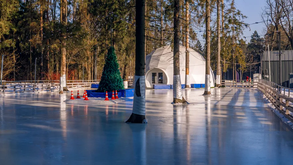 Фото: медиасток.рф