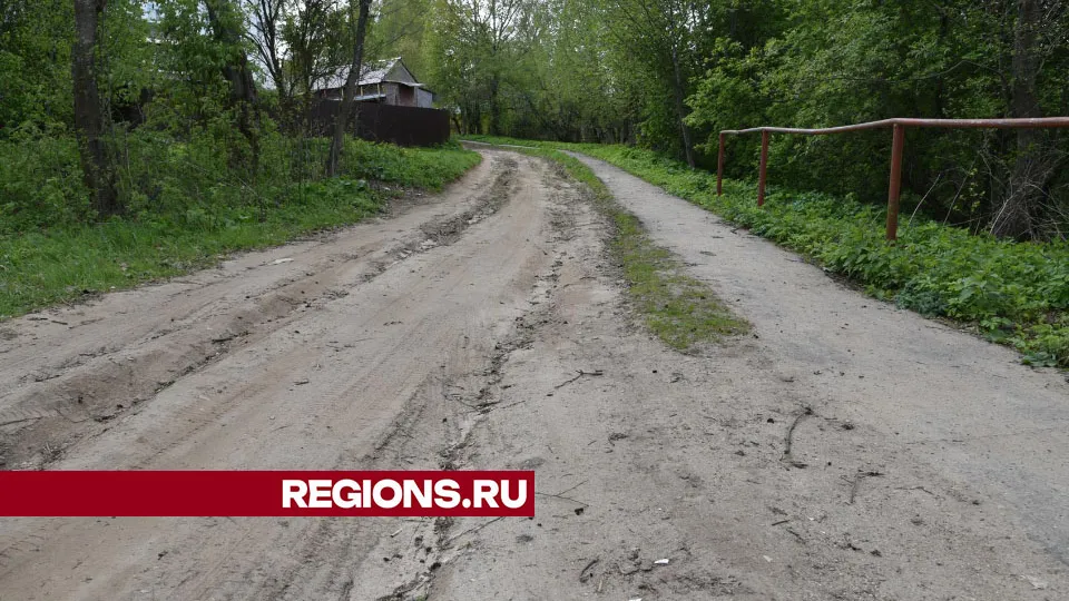 Фото: Владимир Останин