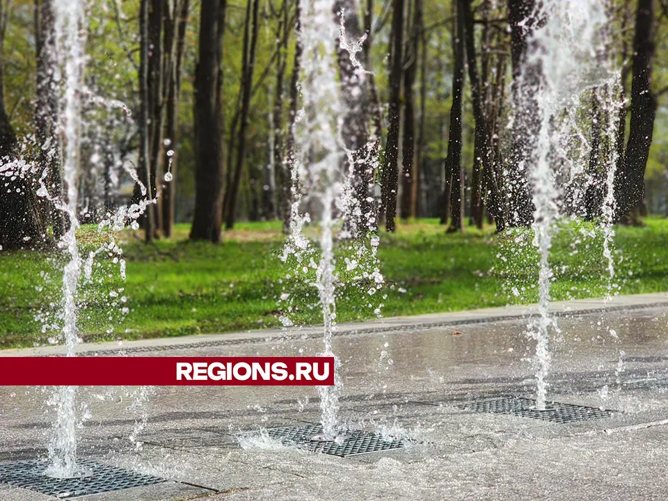 Фото: Андрей Семибратов