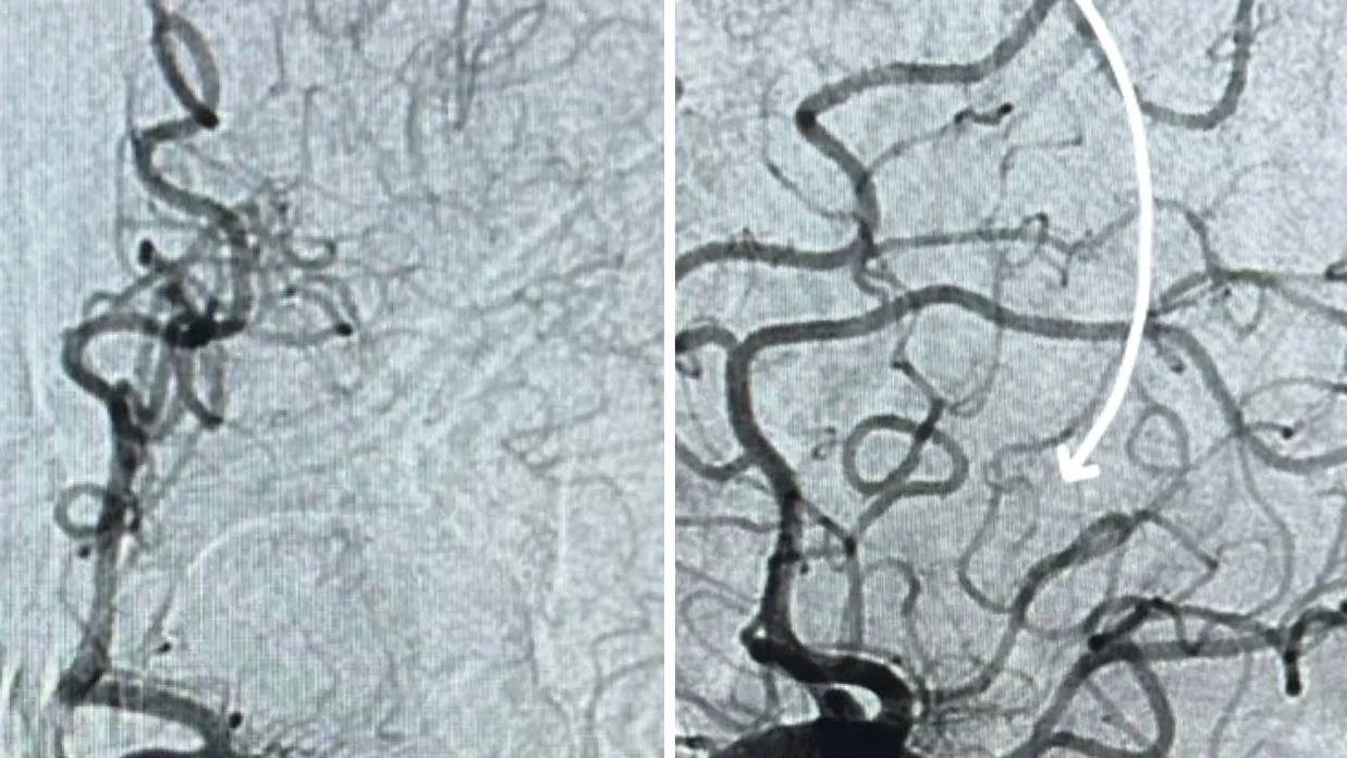 Фото: Министерство здравоохранения Московской области