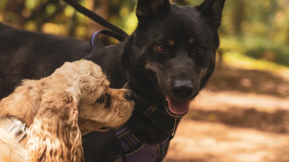 Фото: REGIONS/Наталия Надточая