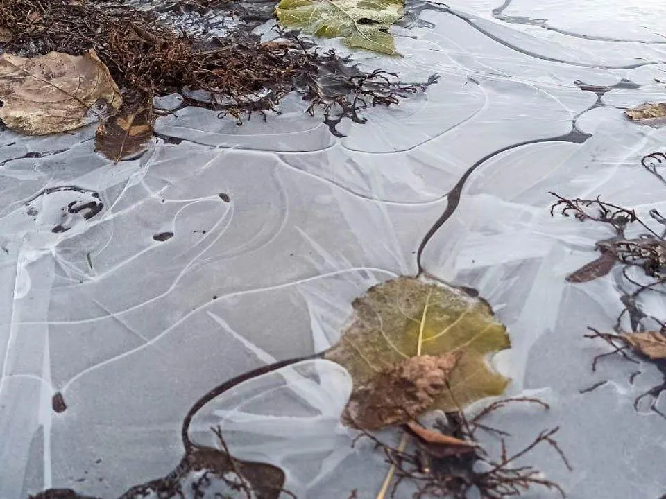 Мокрый снег и гололедица: прогноз погоды в Москве и Подмосковье на неделю с 18 по 21 ноября