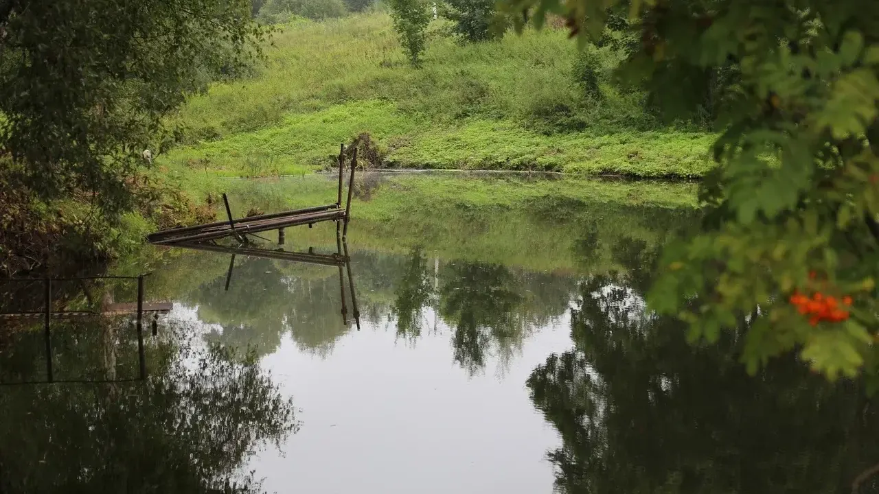 Пруд в деревнне Палихово Серпуховского округа