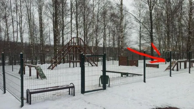 Куски мяса со смертельно опасной начинкой обнаружила на площадке для выгула собак жительница Клина