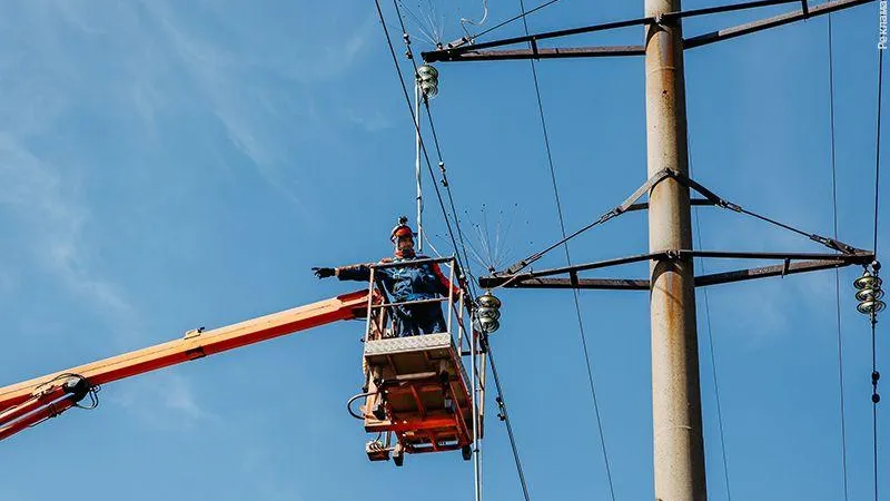 «Россети» делают линии электропередачи безопасными для птиц