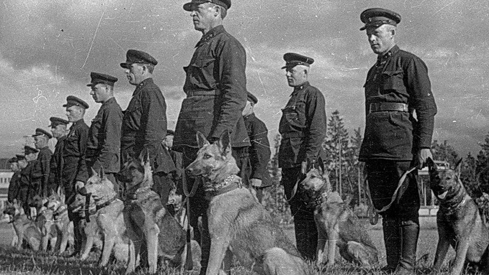 Фото: Музей Победы