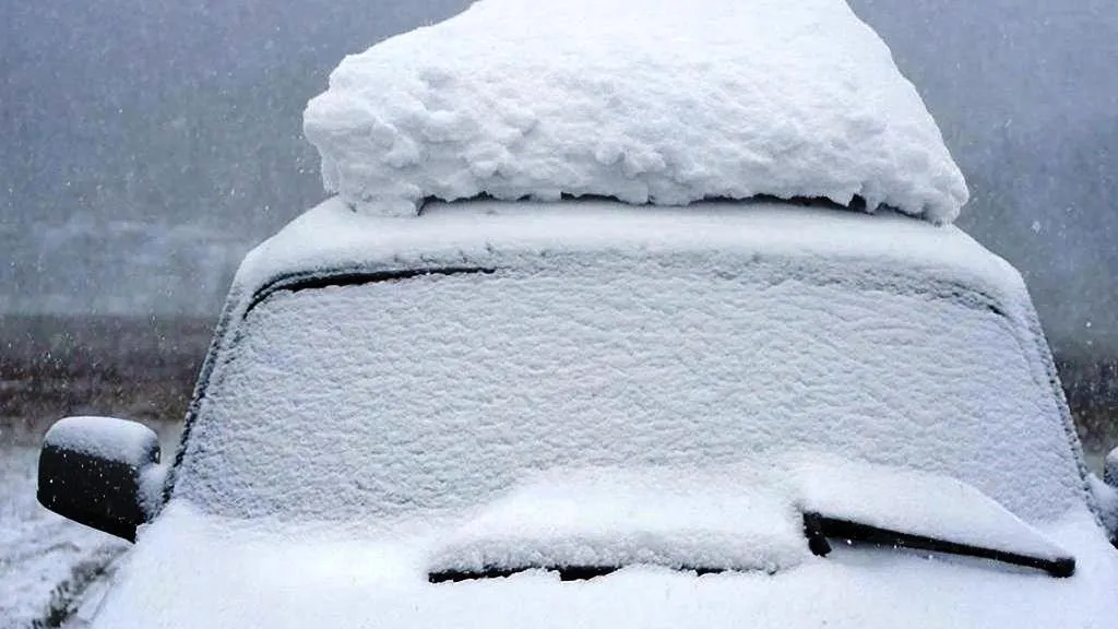 REGIONS/Сгенерировано нейросетью