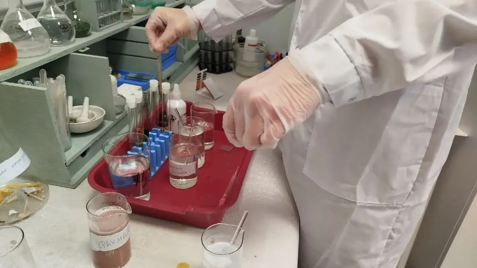 Фото: пресс-служба администрации м.о. Серебряные Пруды