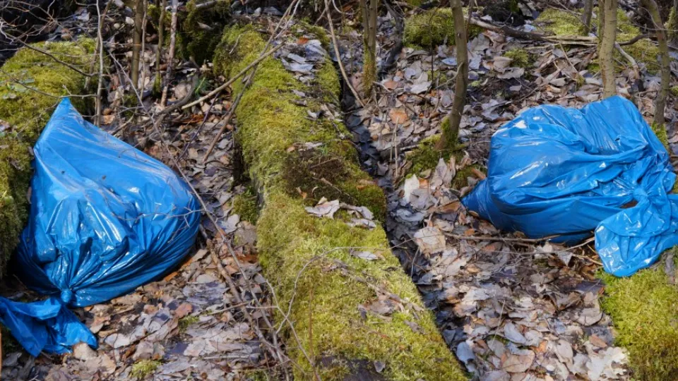 Фото: pxhere.com