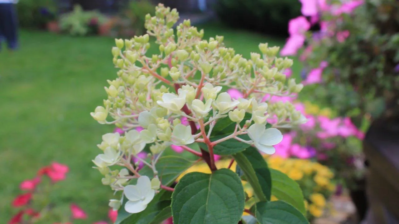 REGIONS/Илья Попов