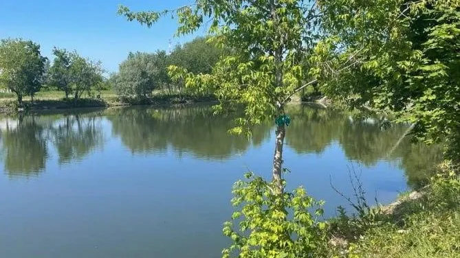 В Красногорске очистили пруд в парке имени Карбышева