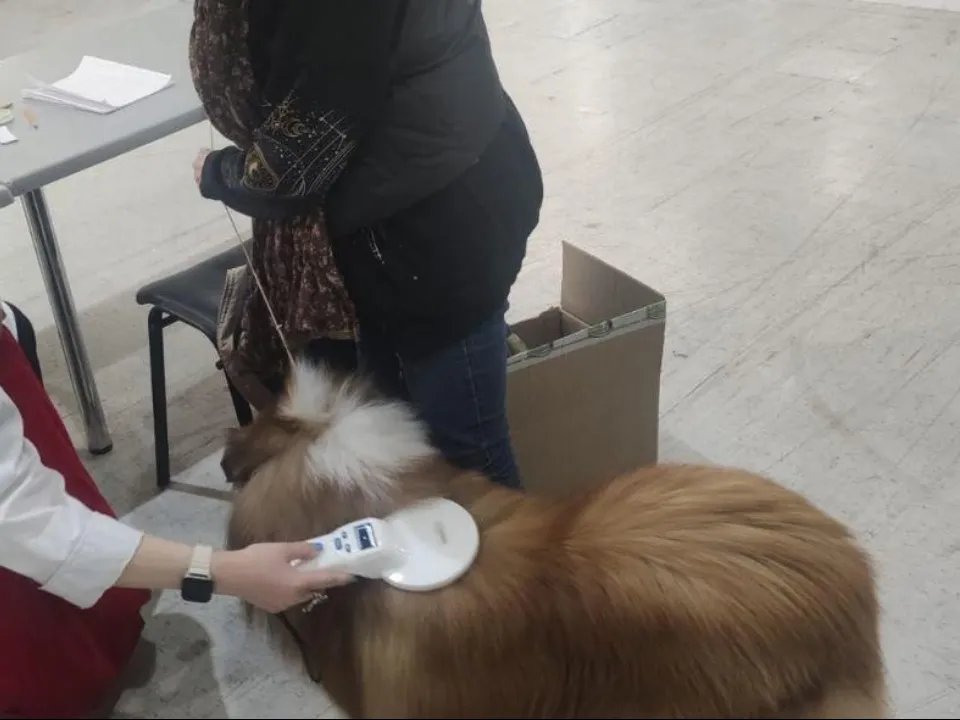 Фото: Министерство сельского хозяйства и продовольствия Московской области