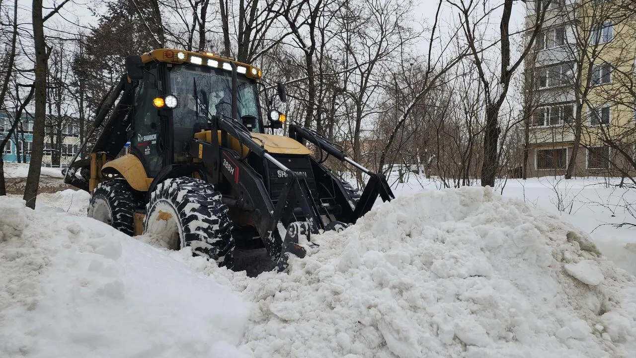 REGIONS/Валерия Тингаева