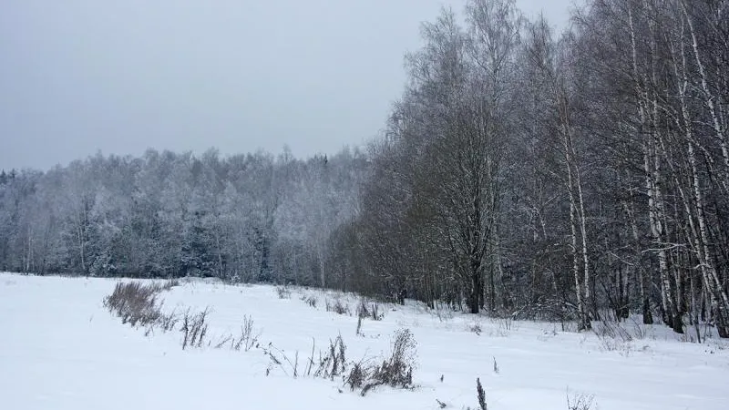 Сертякинская аномальная зона