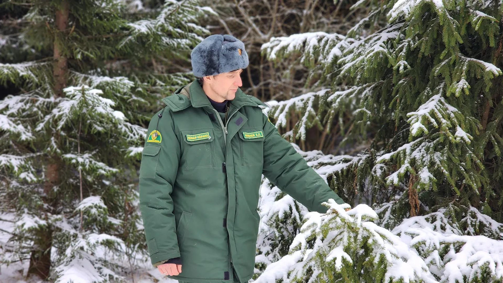 Фото: Елена Шумакова