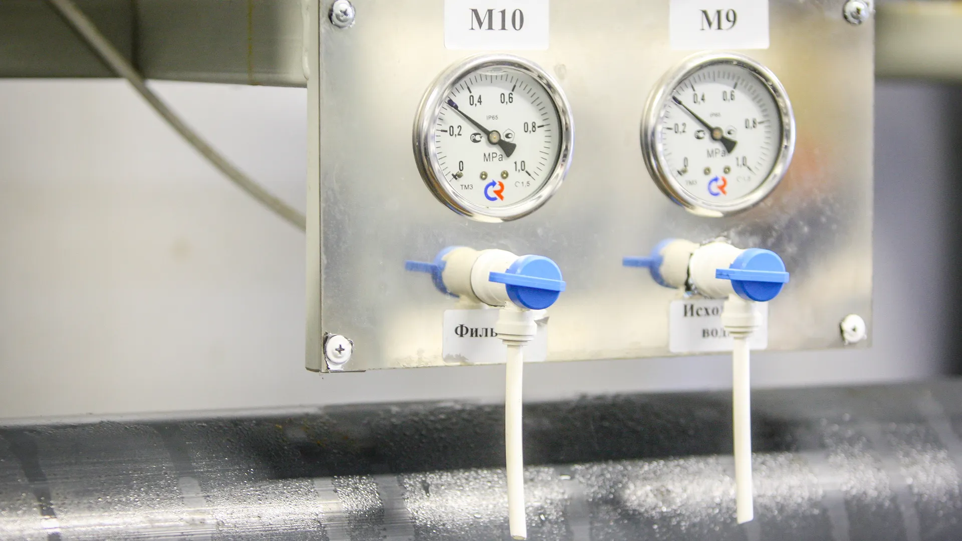 Фото: пресс-служба администрации г.о. Кашира