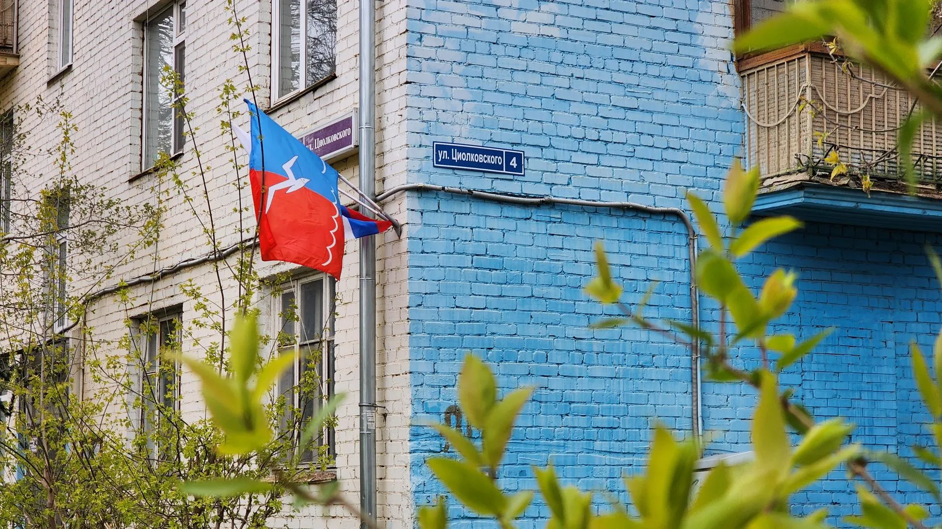Картинка