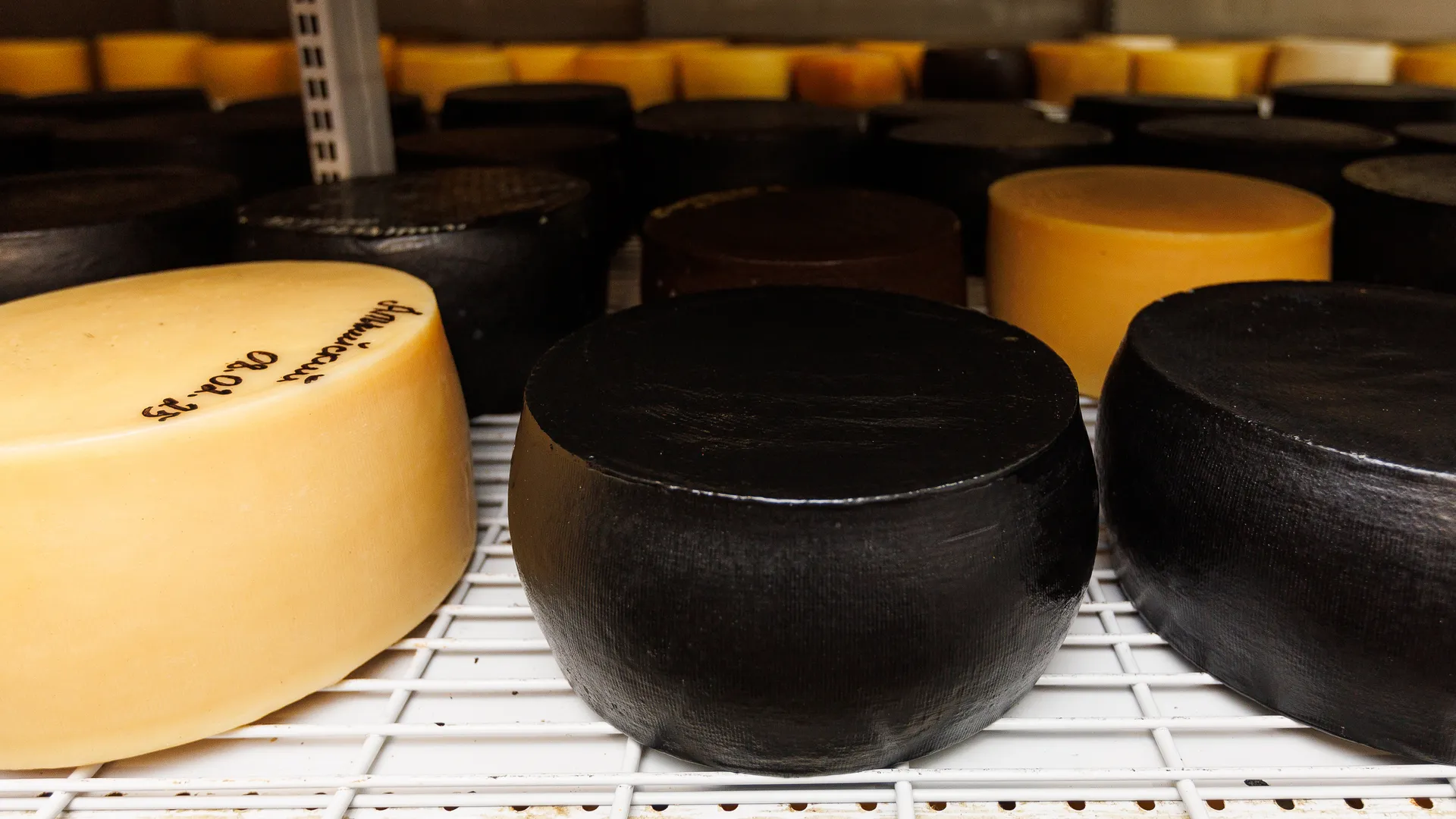 Назад в будущее: как открытие пущинских ученых может спасти Россию от зависимости от импортных заквасок