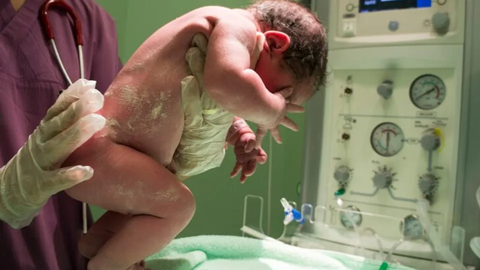 Фото: freepik.com