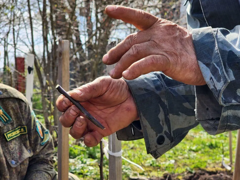 Фото: Яна Шаливская