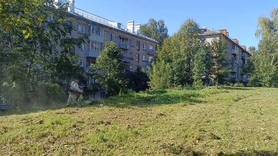 Фото: пресс-служба администрации г.о. Пушкинский