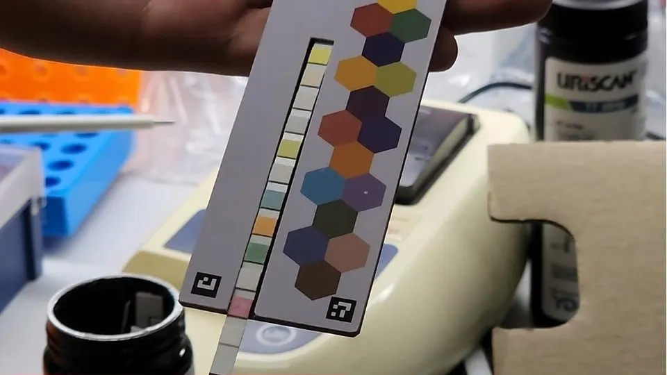 Фото: Михаил Раскин