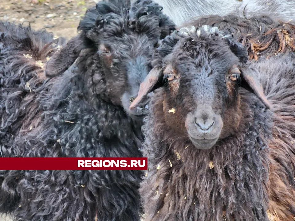 Фото: Екатерина Данилина