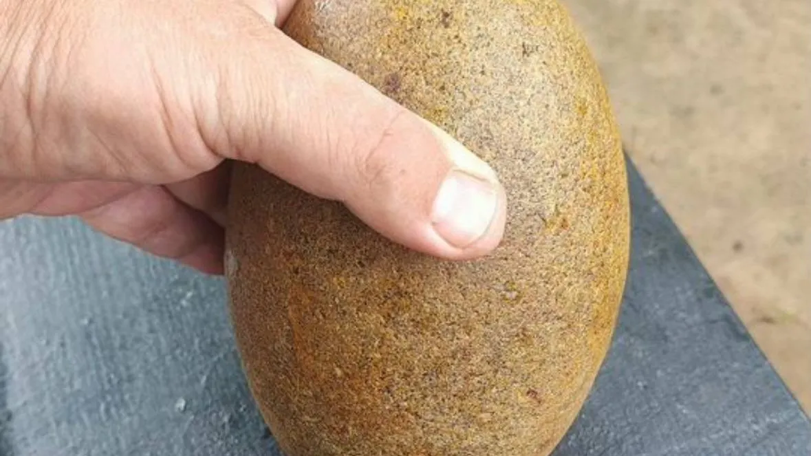 Фото: городская доска объявлений